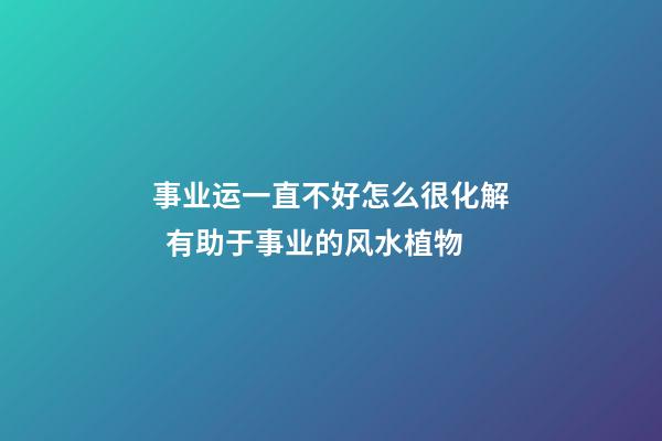 事业运一直不好怎么很化解  有助于事业的风水植物